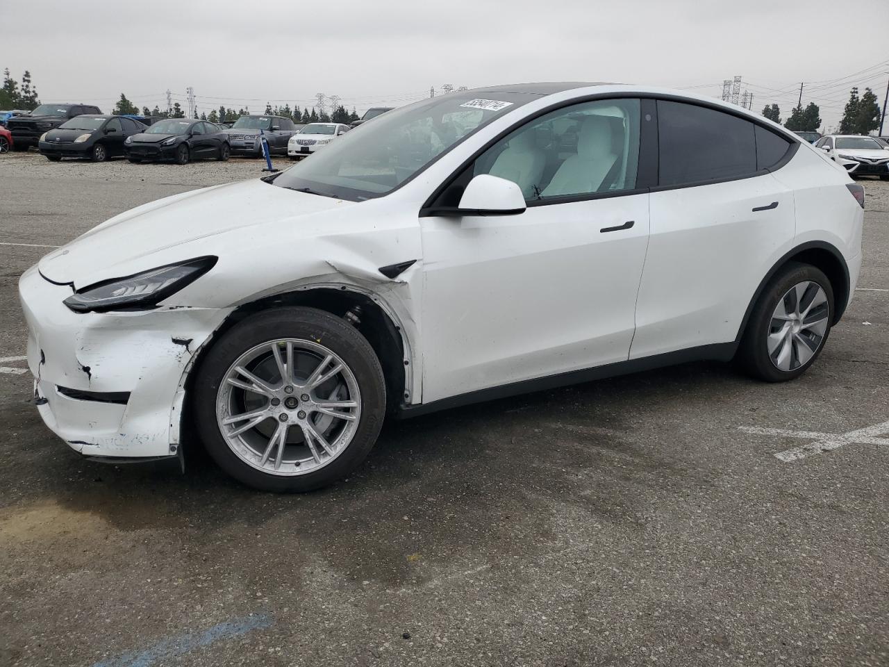 2022 TESLA MODEL Y  VIN:7SAYGDEE8NF512031