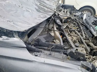 2019 Hyundai Santa FE KMHS381CBKU017002 VIN:KMHS381CBKU017002