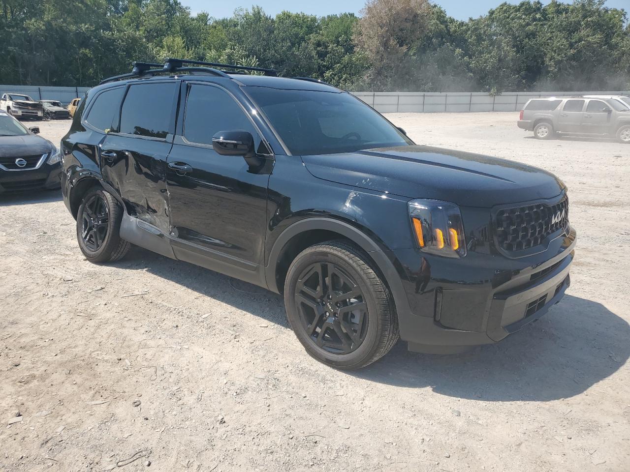 2024 KIA TELLURIDE EX VIN:5XYP3DGC2RG505266