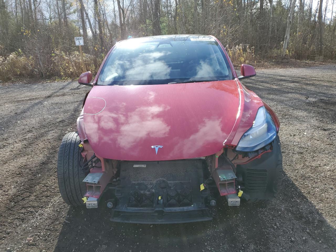 2022 TESLA MODEL Y  VIN:7SAYGDEE4NF544801