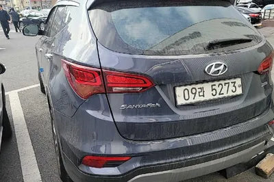 2018 Hyundai Santa FE KMHSW81UBJU830518 VIN:KMHSW81UBJU830518