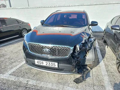 2016 Kia Sorento KNAPS81ABGA127564 VIN:KNAPS81ABGA127564