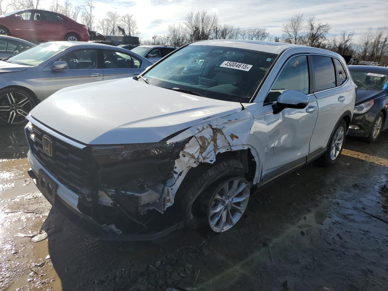 2024 HONDA CR-V EXL VIN:2HKRS4H79RH422505