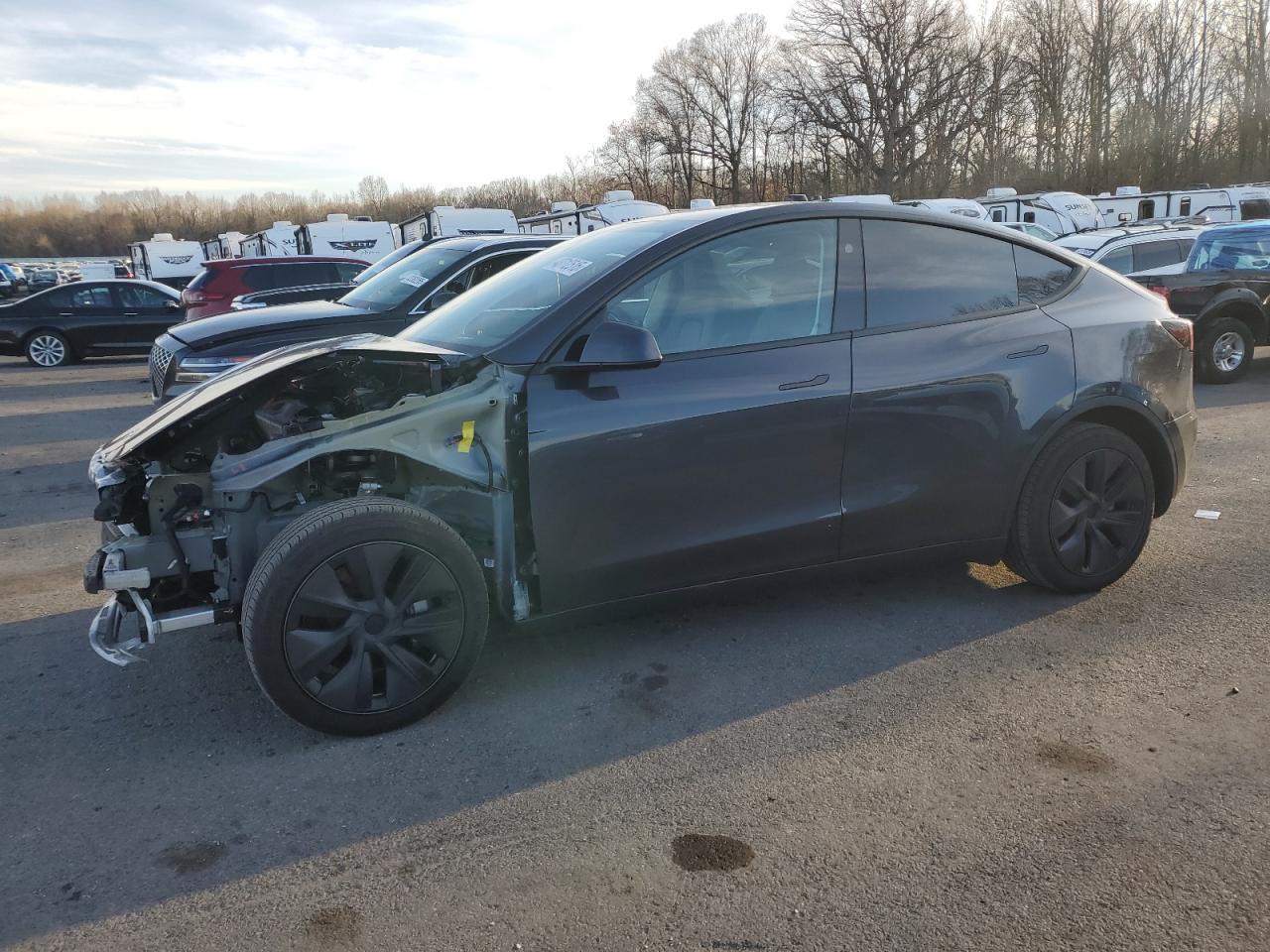 2024 TESLA MODEL Y  VIN:7SAYGDED7RF206693