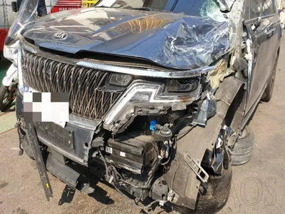2021 Kia Carnival KNANC813BMS119768 VIN:KNANC813BMS119768