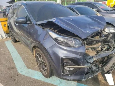 2019 Kia Sportage KNAPP81ABKK704550 VIN:KNAPP81ABKK704550