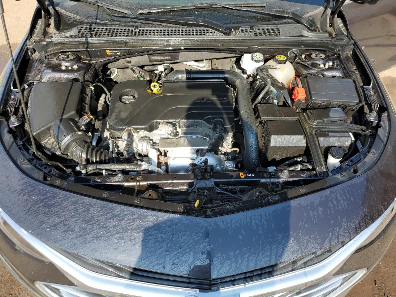 2023 CHEVROLET MALIBU LT VIN:1G1ZD5ST5PF230181