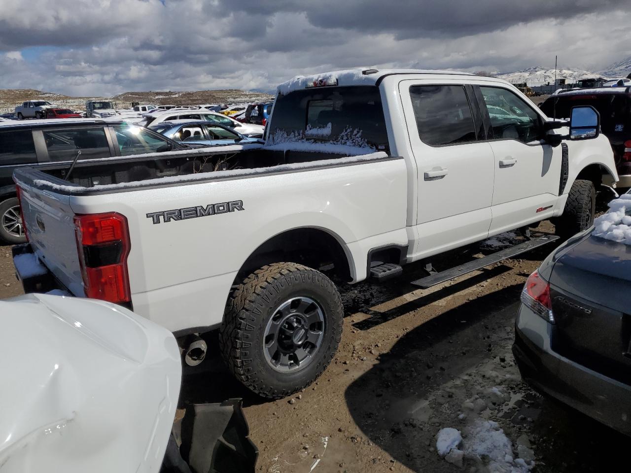 2024 FORD F350 SUPER DUTY VIN:1FT8W3BM2RED73950