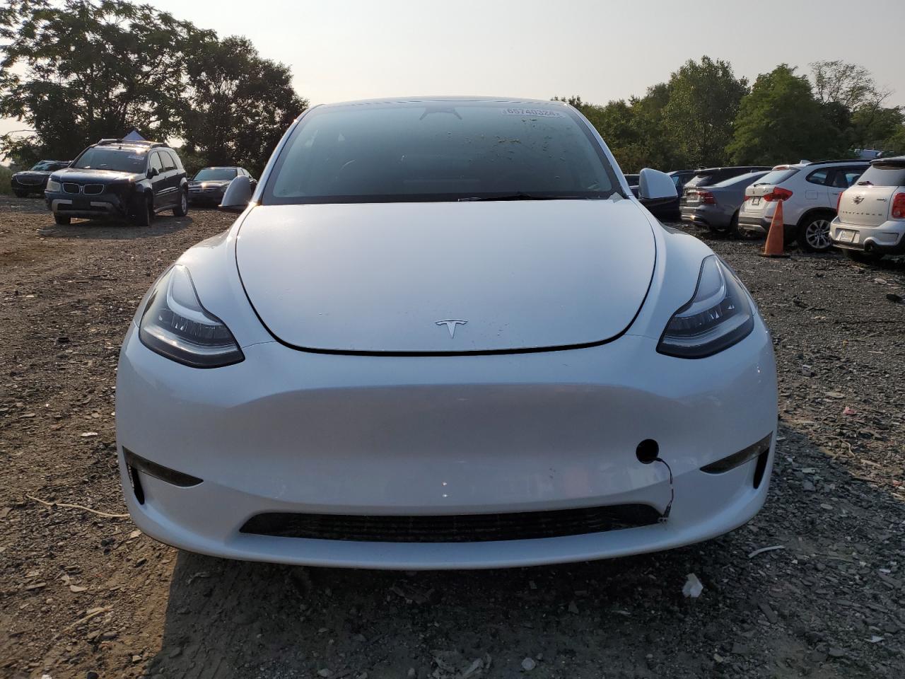 2023 TESLA MODEL Y  VIN:7SAYGDEE3PA102656