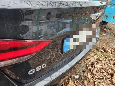 2019 Genesis G80 VIN: