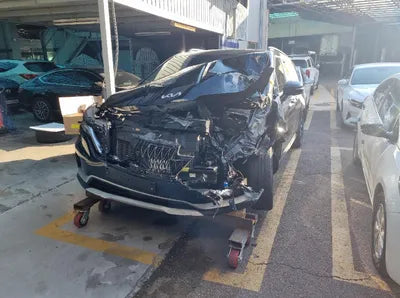 2022 Kia Carnival KNANB81BBNS131772 VIN:KNANB81BBNS131772