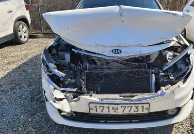2016 Kia K5 KNAGS416BGA003852 VIN:KNAGS416BGA003852