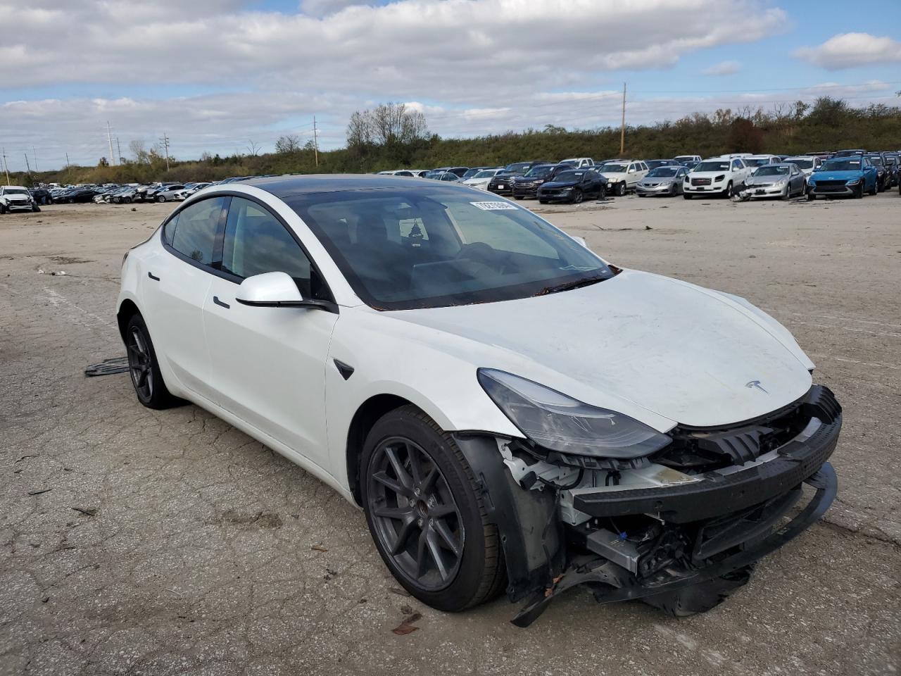 2023 TESLA MODEL 3  VIN:5YJ3E1EA7PF655824