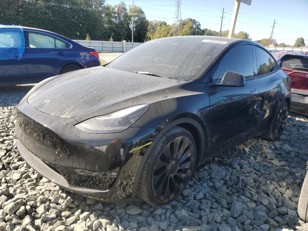 2023 TESLA MODEL Y  VIN:7SAYGDEF9PF916094