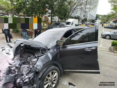 2017 Kia Sorento KNAPH81ADHA339973 VIN:KNAPH81ADHA339973