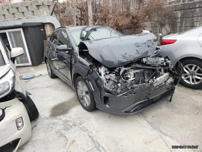 2019 Hyundai Kona KMHK381GFKU060030 VIN:KMHK381GFKU060030