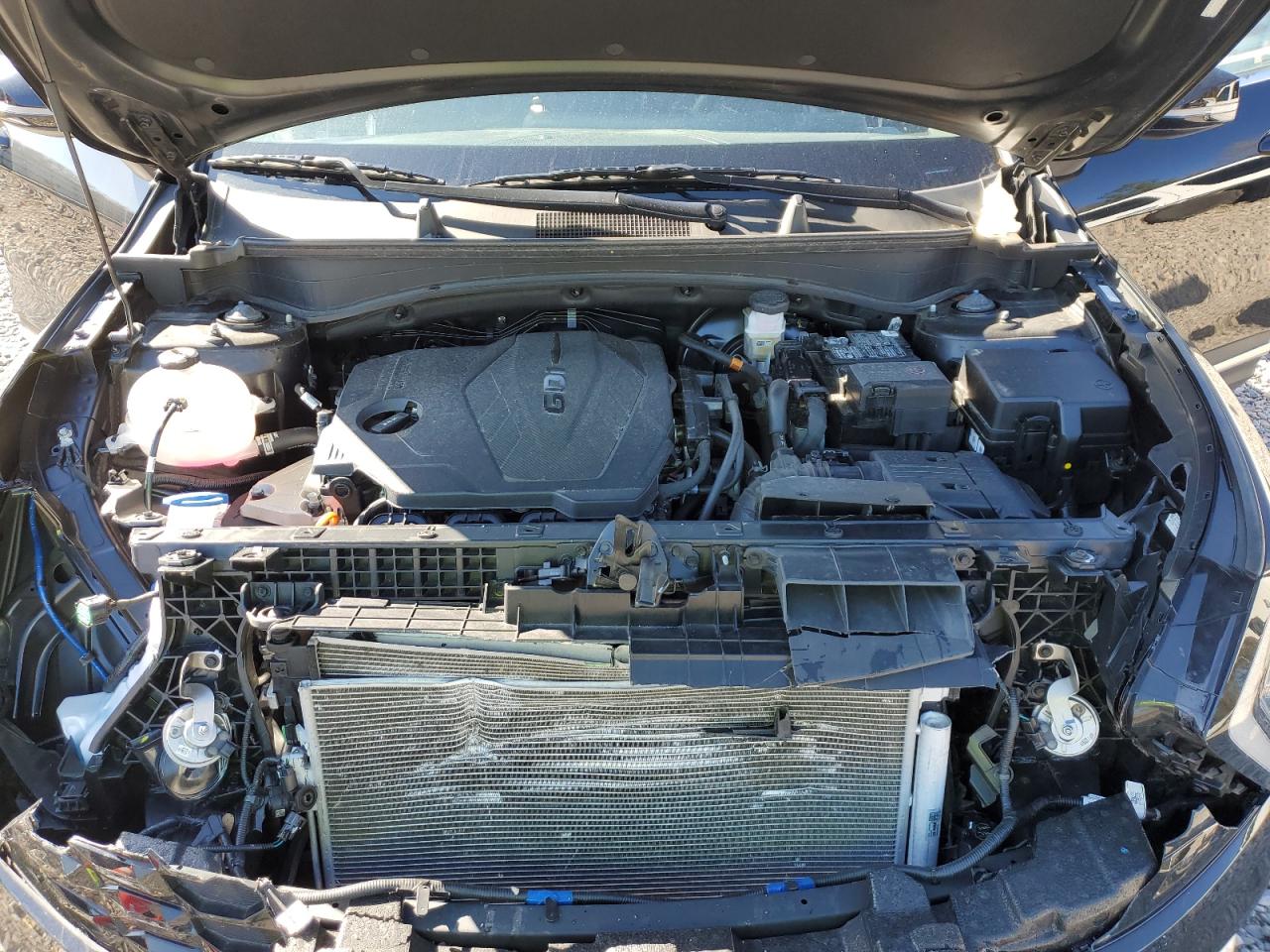 2023 KIA SPORTAGE EX VIN:5XYK33AF7PG065498