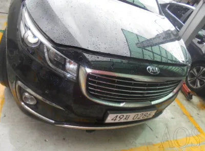 2017 Kia Carnival KNAME811BHS301325 VIN:KNAME811BHS301325