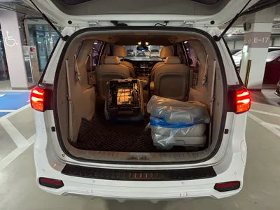2020 Kia Carnival KNAMB81ABLS641748 VIN:KNAMB81ABLS641748