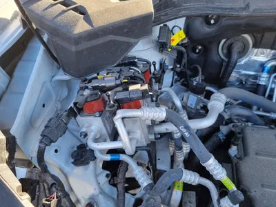 2019 Hyundai Kona KMHK381GFKU056455 VIN:KMHK381GFKU056455