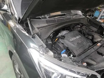 2017 Hyundai Santa FE KMHSW81UBHU769349 VIN:KMHSW81UBHU769349