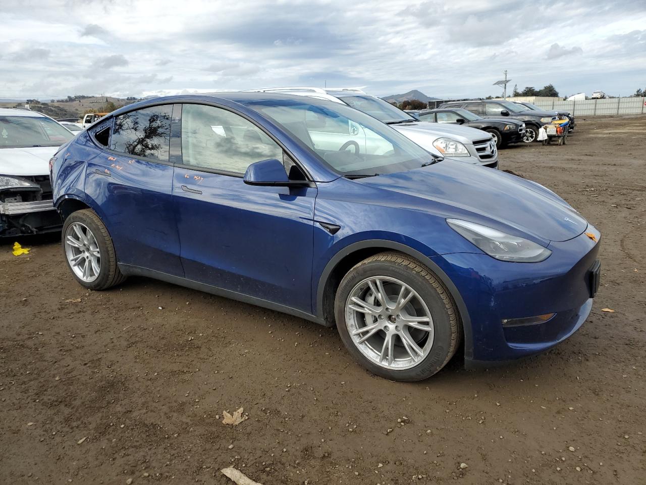 2023 TESLA MODEL Y  VIN:7SAYGDEE9PF896212