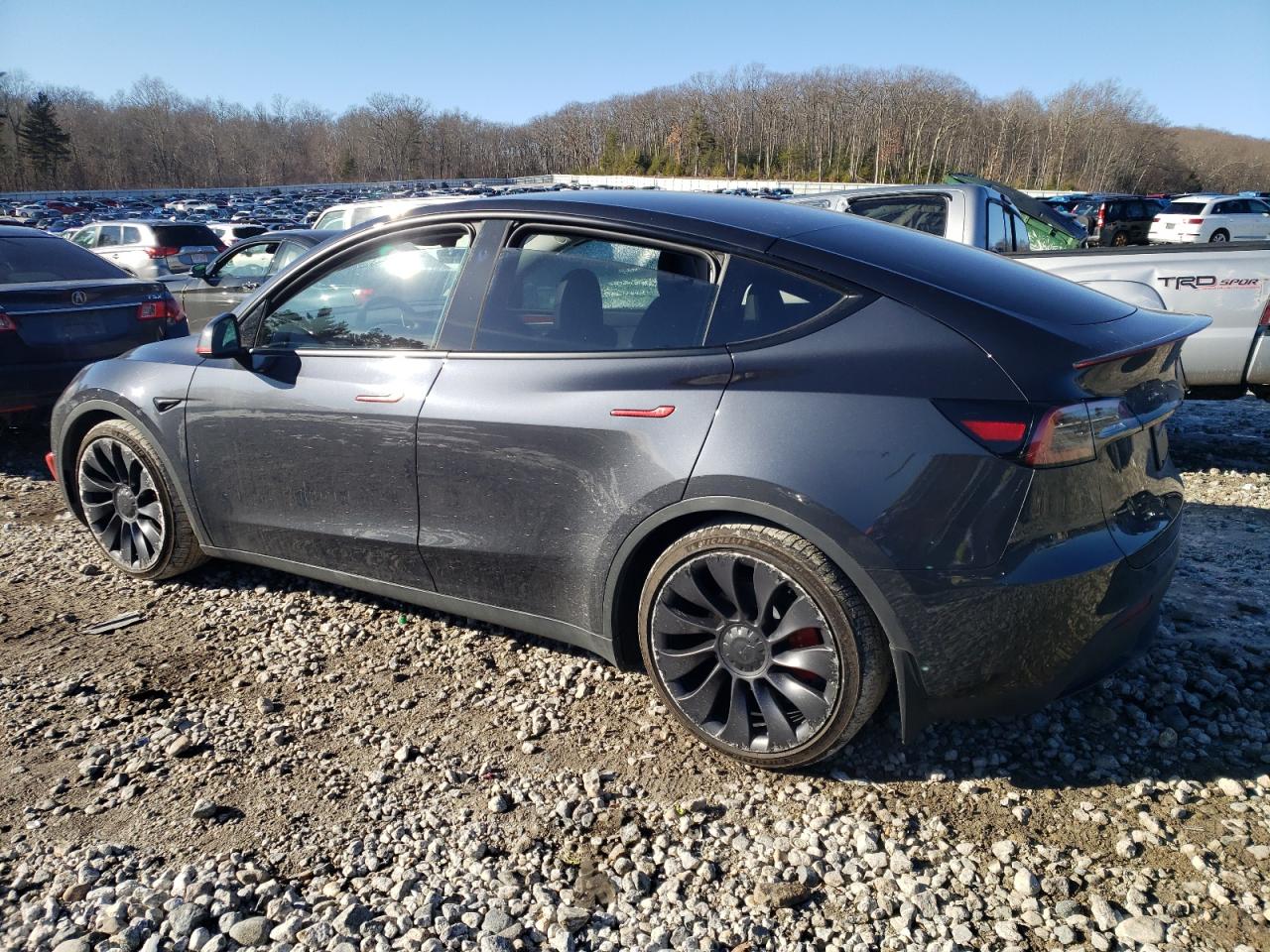 2024 TESLA MODEL Y  VIN:7SAYGDEF6RF033881
