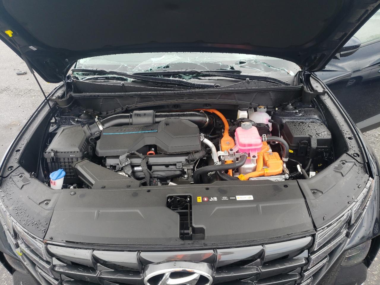 2024 HYUNDAI TUCSON BLUE VIN:KM8JBCD16RU196448