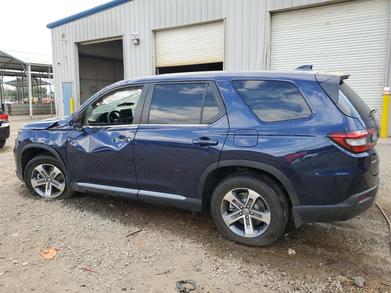 2024 HONDA PILOT EXL VIN:5FNYG2H56RB004448