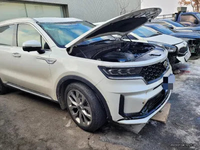 2020 Kia Sorento KNAPS81ABLA625226 VIN:KNAPS81ABLA625226