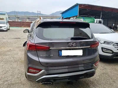2020 Hyundai Santa FE KMHS581BBLU220554 VIN:KMHS581BBLU220554