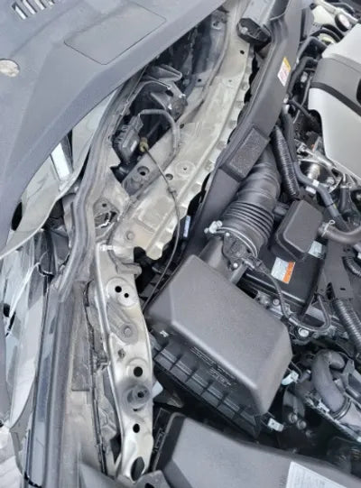 2019 Lexus ES 300 VIN: