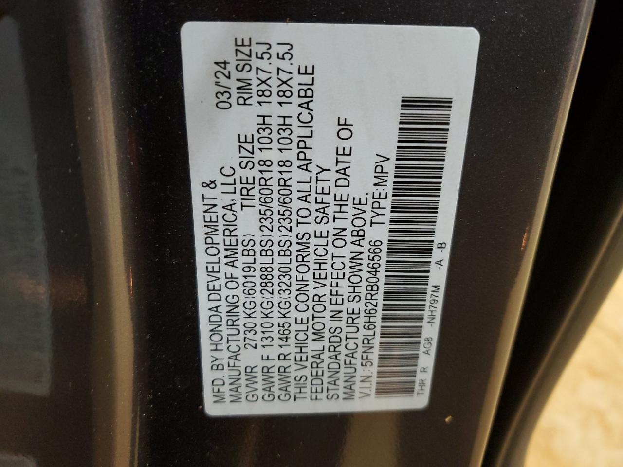 2024 HONDA ODYSSEY EXL VIN:5FNRL6H62RB046566