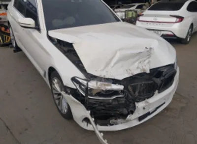 2020 BMW 520 WBAJF3109LWW54738 VIN:WBAJF3109LWW54738