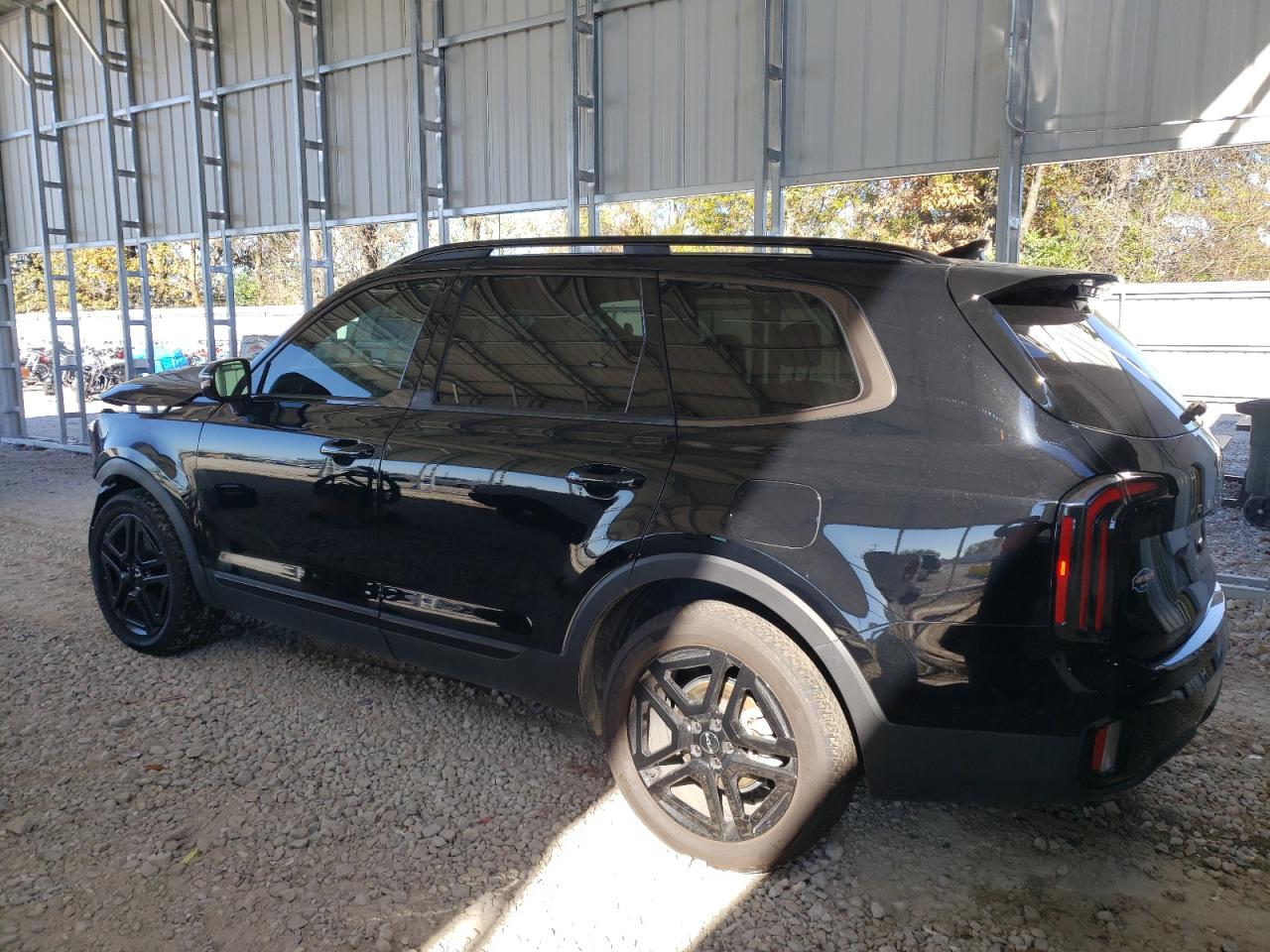 2024 KIA TELLURIDE SX VIN:5XYP5DGC9RG474012