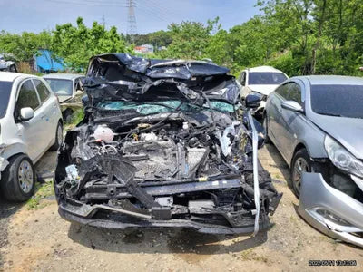 2020 Kia Carnival KNANC81BBMS039848 VIN:KNANC81BBMS039848