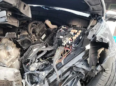 2021 Kia Sorento KNARF81BGMA013546 VIN:KNARF81BGMA013546