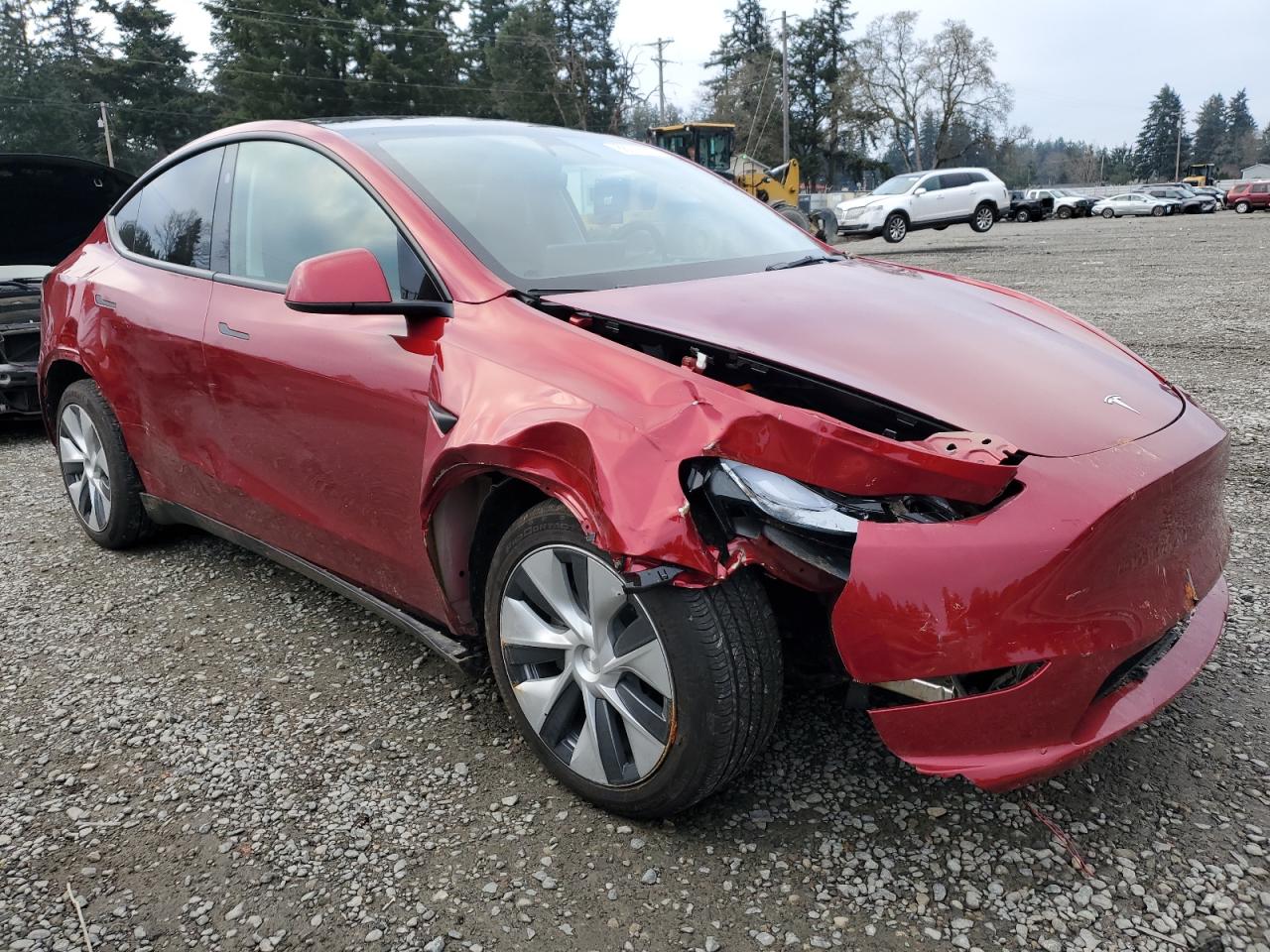 2024 TESLA MODEL Y  VIN:7SAYGDEE3RF014258