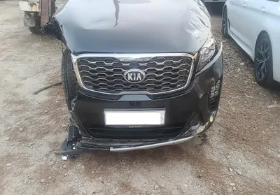 2020 Kia Sorento KNAPH81BBLA567645 VIN:KNAPH81BBLA567645