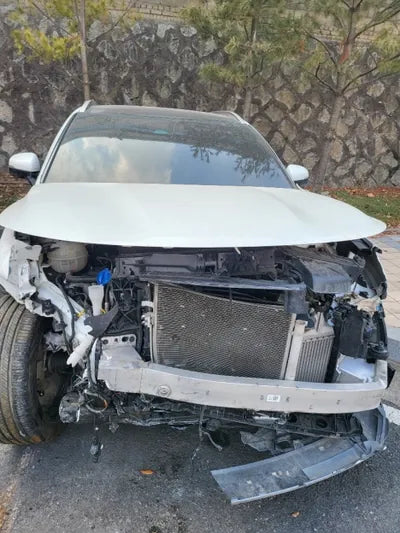 2020 Kia Sorento KNARF81BHMA008085 VIN:KNARF81BHMA008085