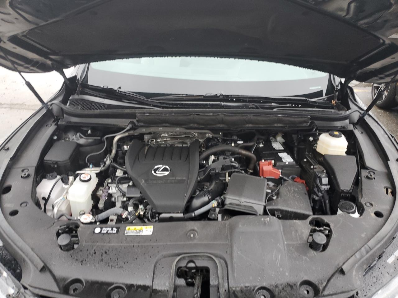2024 LEXUS RX 350 BASE VIN:2T2BAMCA4RC056507