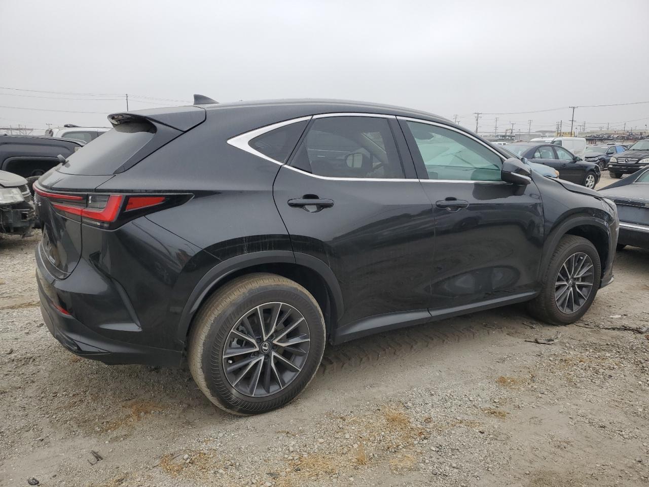 2024 LEXUS NX 250 BASE VIN:2T2ADCAZXRC013196