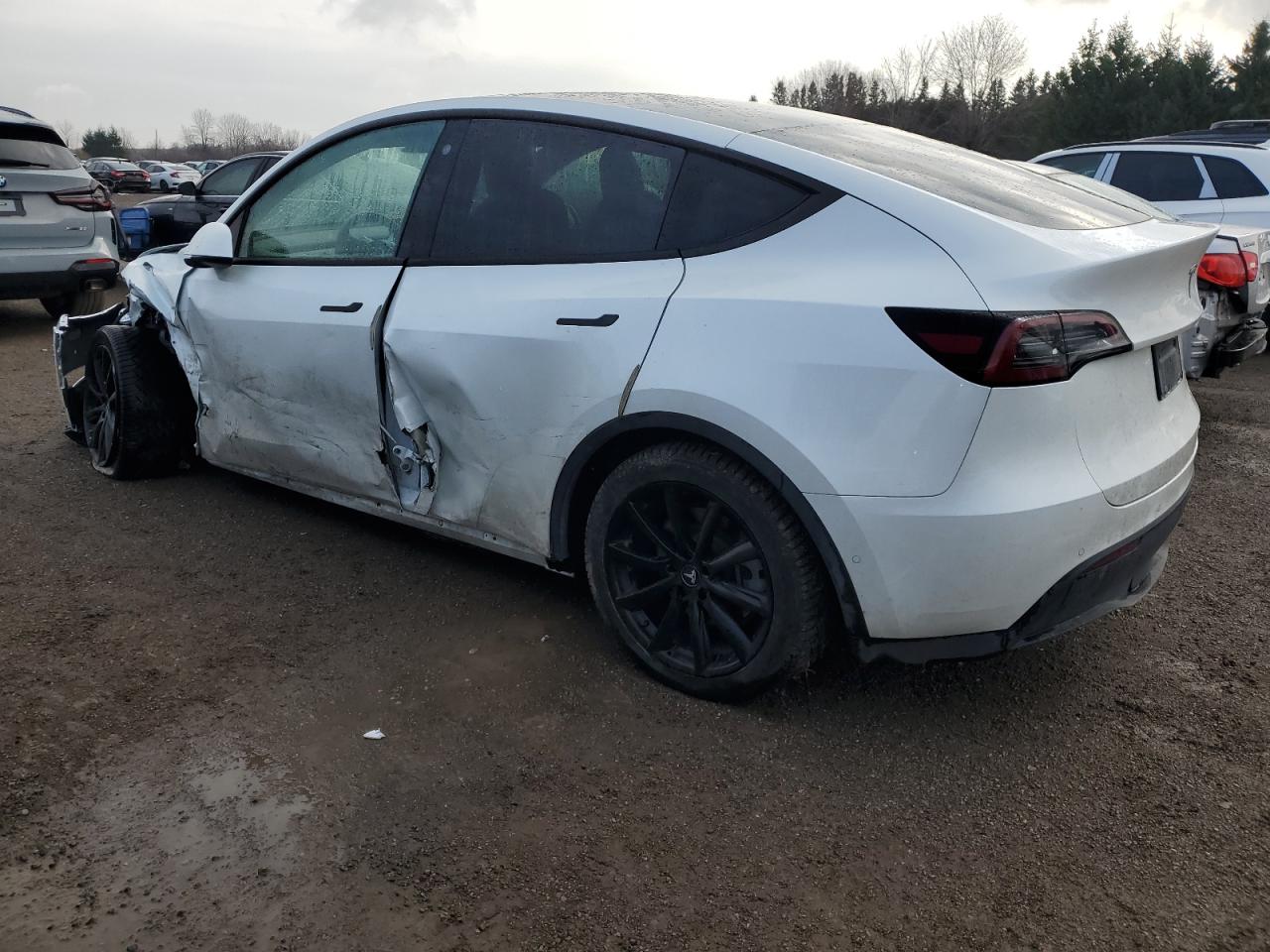 2022 TESLA MODEL Y  VIN:7SAYGDEE7NF450895