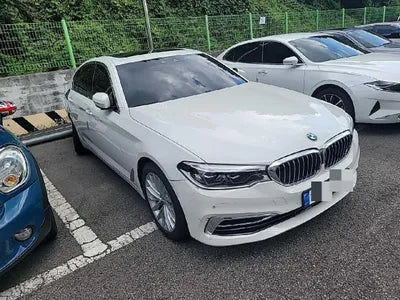 2019 BMW 520 WBAJF3104KWW44729 VIN:WBAJF3104KWW44729