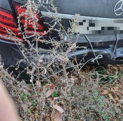 2015 Mercedes-Benz E 220 WDDHF0AB8FB124375 VIN:WDDHF0AB8FB124375