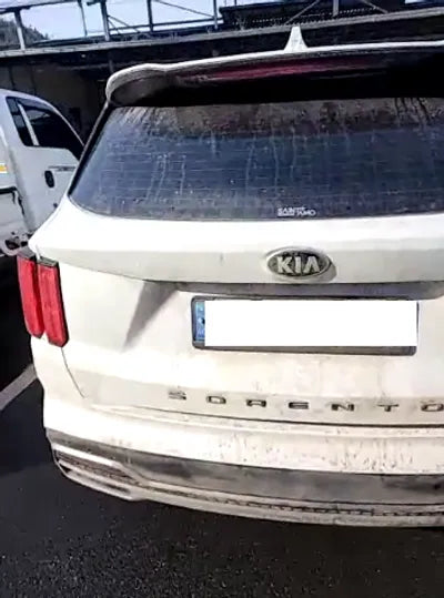 2021 Kia Sorento KNARF81BGMA104013 VIN:KNARF81BGMA104013