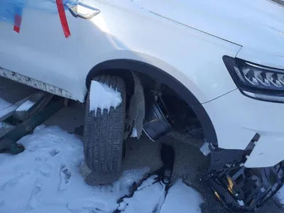 2020 Kia Sorento KNARK81GBMA006789 VIN:KNARK81GBMA006789