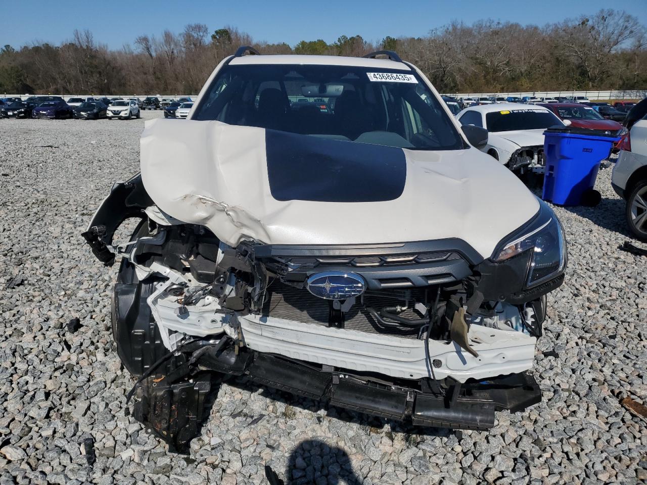 2023 SUBARU FORESTER WILDERNESS VIN:JF2SKAMCXPH447204