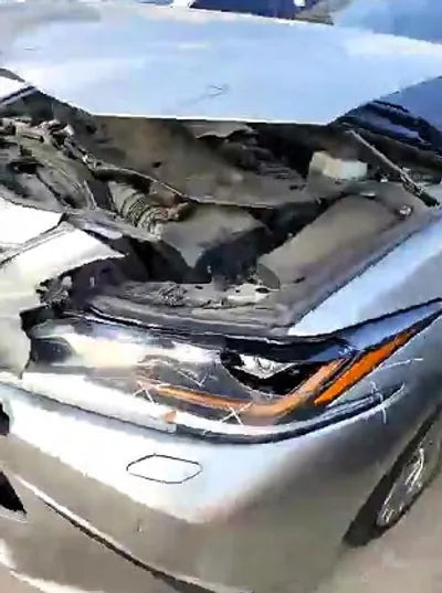 2019 Lexus ES 300 JTHB21B12K2049785 VIN:JTHB21B12K2049785