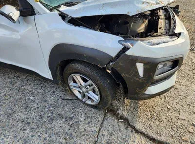 2020 Hyundai Kona KMHK2817GLU485450 VIN:KMHK2817GLU485450